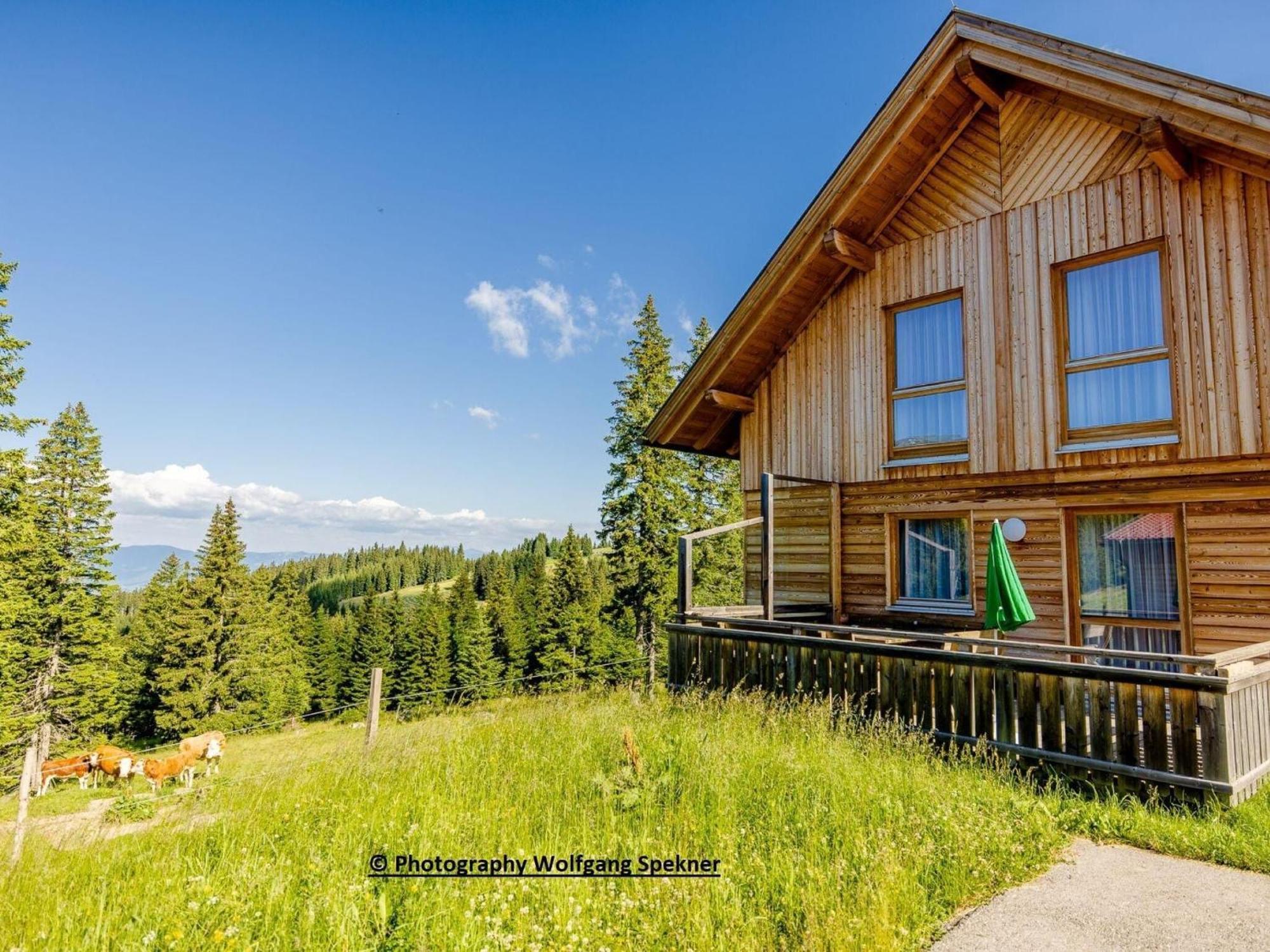 Mountain Hut With Sauna On Weinebene Villa Posch Alpe Exterior photo