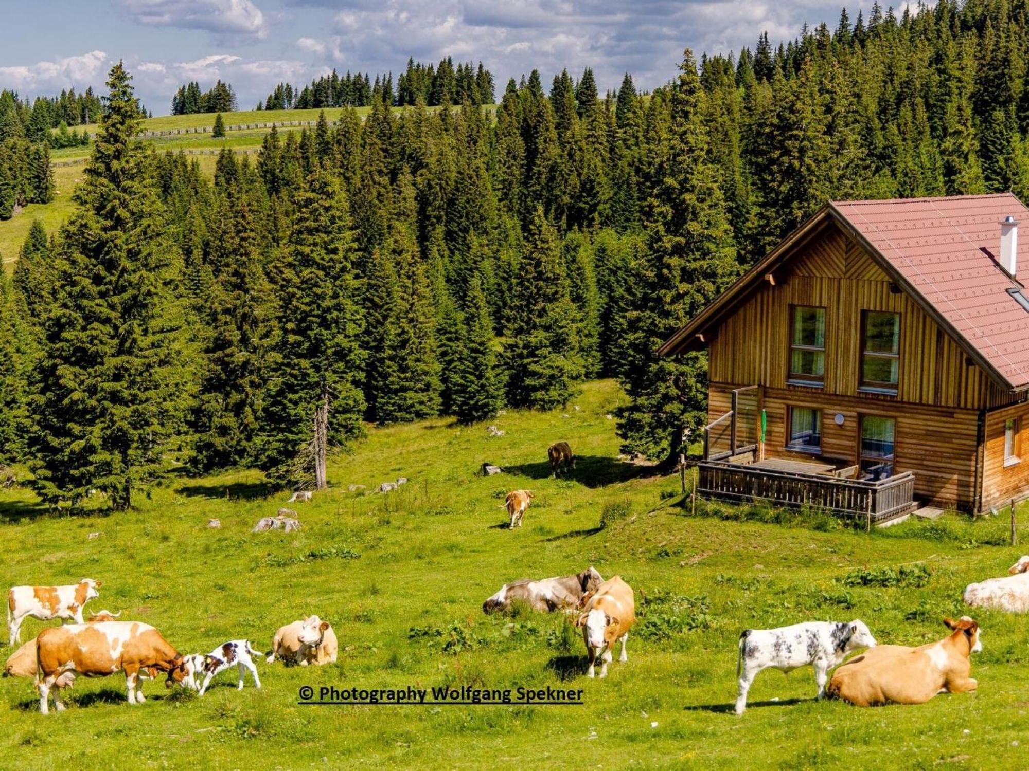 Mountain Hut With Sauna On Weinebene Villa Posch Alpe Exterior photo